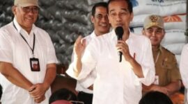 Presiden Joko Widodo didampingi Gubernur Kalteng Sugianto Sabran meninjau stok Beras di BULOG Palangka Raya. (FOTO: IST)