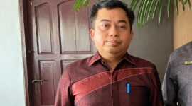 FOTO: Juru bicara Fraksi PDI Perjuangan DPRD Kotawaringin Timur (Kotim) Rimbun. (IST)