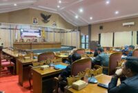 FOTO: Anggota fraksi PAN DPRD Kabupaten Kotawaringin Timur Megawati. (IST)