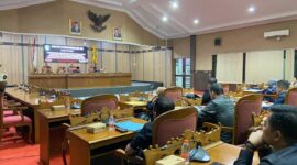 FOTO: Anggota fraksi PAN DPRD Kabupaten Kotawaringin Timur Megawati. (IST)