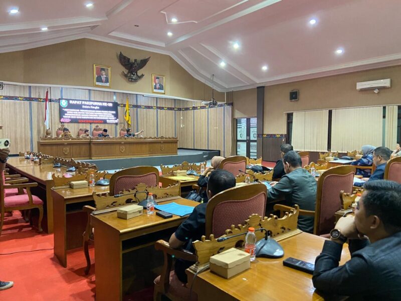 FOTO: Anggota fraksi PAN DPRD Kabupaten Kotawaringin Timur Megawati. (IST)