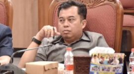 Rimbun, Anggota DPRD Kotim. menilai fungsi MPP Hambaring Hurung kurang optimal, sehingga Pemerintah Kabupaten Kotawaringin Timur lebih giat menyosialisasikanya