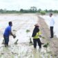 FOTO: Presiden RI Joko Widodo meninjau petani yang ada di Kotim. (IST)