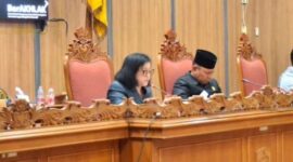 FOTO: Ketua DPRD Kotim Rinie Anderson. (IST) 