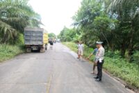 Petugas polisi lalulintas saat mengamankan kecelakaan Truck dan Pickup di Jalan HM Arsyad, Kilometer 21, Desa Bapanggang Raya, Kecamatan Mentawa Baru Ketapang, Kabupaten Kotawaringin Timur (Kotim)