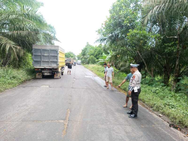 Petugas polisi lalulintas saat mengamankan kecelakaan Truck dan Pickup di Jalan HM Arsyad, Kilometer 21, Desa Bapanggang Raya, Kecamatan Mentawa Baru Ketapang, Kabupaten Kotawaringin Timur (Kotim)