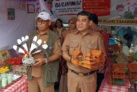 Kadisdik Kotim, M Irfansyah mengunjungi stand sekolah peserta dalam Gebyar Merdeka SD se Kecamatan Baamang.(IST)