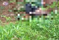 MAYAT: Seorang mayat pria saat ditemukan warga di pinggir jalan dekat Jembatan Bajarum pada Sabtu (18/1).(IST)