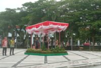 Wakil Gubernur Kalimantan Tengah Edy Pratowo saat memberikan sambutan uparaca.(IST)