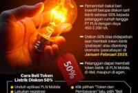 Pemerintah memberikan diskon 50% token PLN periode Januari-Februari 2025. Berikut cara pembeliannya 