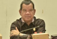 Wakil Ketua I DPRD Kabupaten Kotim Juliansyah.(IST)