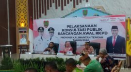 Sri Widanarni dalam forum konsultasi Publik Rancangan Awal RKPD Kalteng 2026 di Aula Bapperida.(IST)