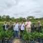 PENGAWASAN: Tim PBT Perkebunan saat melakukan pengawasan mutu benihdi kebun pembibitan kelapa sawit, yang berada di Desa Handiwung, Kecamatan Tasik Payawan, Kabupaten Katingan, Rabu (26/2).(IST)