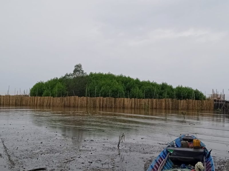PENGEMBANGAN : Lokasi pengembangan kepiting bakau sylvofishery di Desa Teluk Bogam Kabupaten Kobar ini terlihat belum lama ini.(IST)