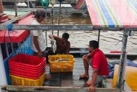 HASIL TANGKAPAN : Para nelayan saat melakukan bongkar hasil tangkapan ikan di PP Kumai belum lama ini.(IST)
