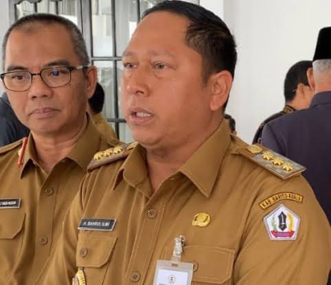 Foto Bupati Batola Bahrul Ilmi.(IST)
