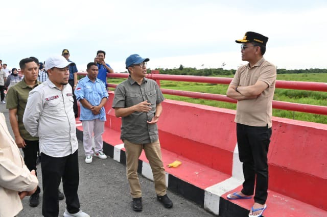 MENINJAU : Gubernur Provinsi Kalteng H. Agustiar Sabran saat meninjau infrastruktur Jembatan Jelai di Kabupaten Sukamara, Jumat (4/4).(IST)