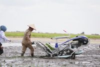 SERENTAK - Gubernur Agustiar Sabran ikut tanam padi serentak dari desa Lempuyang Kab. Kotawaringin Timur.(IST)