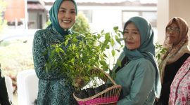 MENYERAHKAN : Ketua TP PKK Kalteng, Aisyah Thisia Agustiar Sabran, saat menyerahkan bibit secara simbol kepada warga saat kegiatan HKG PKK ke 53, Rabu (23/4).(IST)