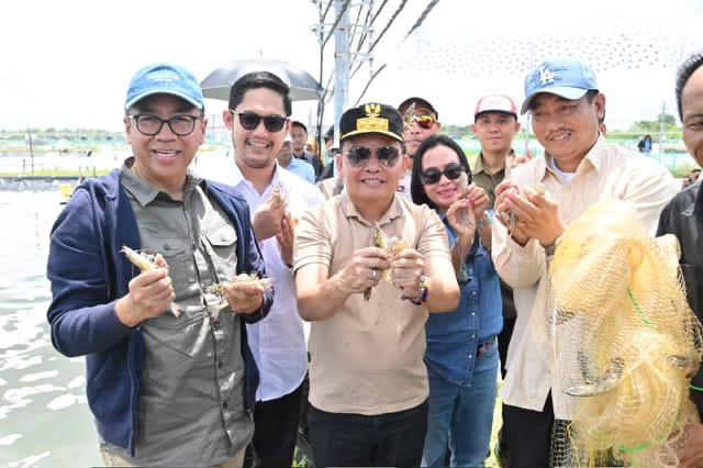 MENINJAU : Gubernur Provinsi Kalteng H. Agustiar Sabran saat meninjau Tambak Udang Vaname/ Shrimp Estate Berkah yang berada di Desa Sei Raja Kabupaten Sukamara, Jumat (4/4).(IST)