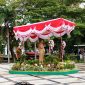 Gubernur Kalimantan Tengah Agustiar Sabran pimpin apel besar.(IST)