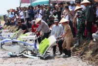 MENDUKUNG - Suasana Gerakan tanam padi serentak, Gubernur Agustiar Sabran ikut terlibat langsung tanam padi.(IST)