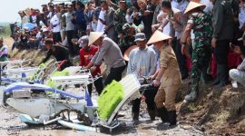 MENDUKUNG - Suasana Gerakan tanam padi serentak, Gubernur Agustiar Sabran ikut terlibat langsung tanam padi.(IST)