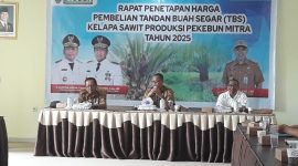 PIMPIN RAPAT: Kabid Lohsar Achmad Sugianor saat memimpin Rapat Penetapan Harga TBS Periode II Bulan April 2025 yang digelar di Aula Dinas Perkebunan Kalteng pada Rabu (7/5).(IST)