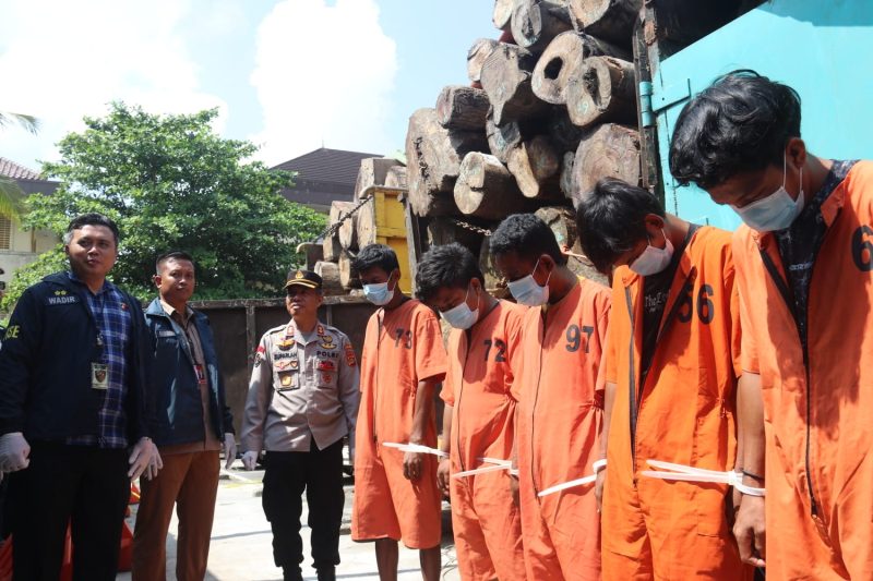 AMANKAN : Kasubdit IV Tipidter Polda Sumatera Selatan, AKBP Ahmad Budi Martono, SIK MH, saat mengamankan tersangka dan barang bukti, aktivitas ilegal pengangkutan kayu hasil hutan tanpa dokumen resmi,di wilayah Kabupaten Musi Banyuasin (Muba), Sumatera Selatan, Senin (28/4) lalu.(IST)