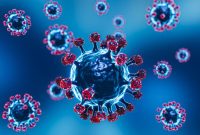 ilustrasi Virus Covid 19.(IST)