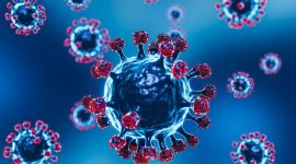 ilustrasi Virus Covid 19.(IST)
