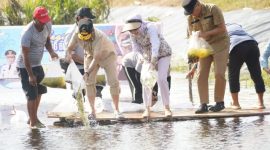 RESTOCKING : Gubernur Kalteng H. Agustiar Sabran bersama Ketua TP-PKK Provinsi Kalteng Aisyah Thisia Agustiar Sabran saat turut serta dalam kegiatan restocking benih ikan di Embung BWS Kalimantan II yang berlokasi di Danau Asam Kecamatan Kotawaringin Lama, pada Minggu (8/6).(IST)