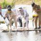 RESTOCKING : Gubernur Kalteng H. Agustiar Sabran bersama Ketua TP-PKK Provinsi Kalteng Aisyah Thisia Agustiar Sabran saat turut serta dalam kegiatan restocking benih ikan di Embung BWS Kalimantan II yang berlokasi di Danau Asam Kecamatan Kotawaringin Lama, pada Minggu (8/6).(IST)