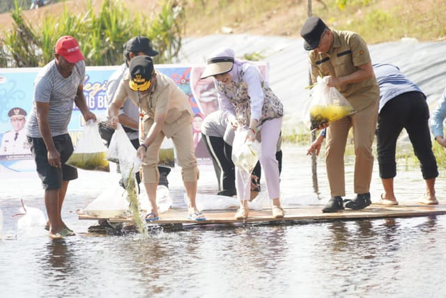 RESTOCKING : Gubernur Kalteng H. Agustiar Sabran bersama Ketua TP-PKK Provinsi Kalteng Aisyah Thisia Agustiar Sabran saat turut serta dalam kegiatan restocking benih ikan di Embung BWS Kalimantan II yang berlokasi di Danau Asam Kecamatan Kotawaringin Lama, pada Minggu (8/6).(IST)