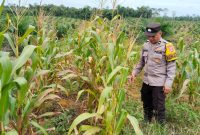 Kapolsek Marikit IPDA Hendra Sopiyan D. Munthe,S.H. (IST)