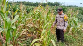 Kapolsek Marikit IPDA Hendra Sopiyan D. Munthe,S.H. (IST)