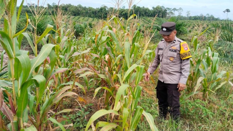 Kapolsek Marikit IPDA Hendra Sopiyan D. Munthe,S.H. (IST)