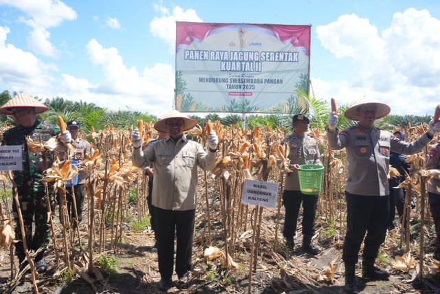 PANEN RAYA : Wakil Gubernur Kalteng H. Edy Pratowo saat menghadiri kegiatan Panen Raya Jagung Serentak Kuartal II Tahun 2025 dari areal pertanian milik PT. MKM di Desa Tahai Kecamatan Maliku, Kabupaten Pulang Pisau, Kamis (5/6).(IST)