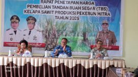 PIMPIN: Kabid Lohsar Achmad Sugianor saat memimpin Rapat Penetapan Harga TBS yang digelar Dinas Perkebunan Provinsi Kalteng di Aula Kantor Disbun Kalteng, Kamis (17/7/2025).(IST)