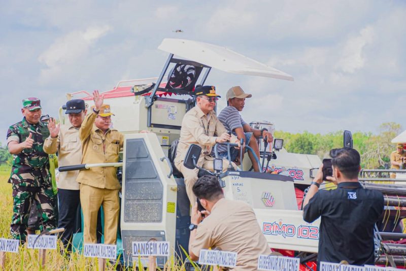 PANEN RAYA : Gubernur Kalteng H. Agustiar Sabran saat panen raya padi di Desa Terusan Makmur, Kecamatan Bataguh, Kabupaten Kapuas, Senin (14/7/2025).(IST)