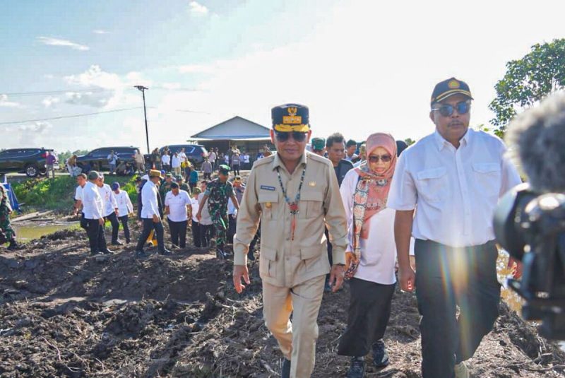 MENINJAU - Gubernur Agustiar Sabran saat di lokasi cetak sawah di Pulang Pisau.(IST)