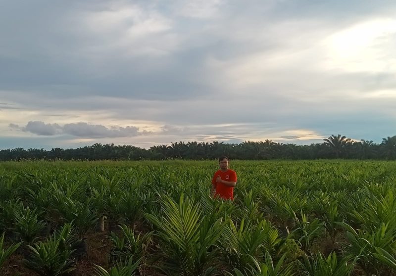 FOTO: Petugas PT. KMS saat melakukan pengecekan lahan untuk mencegah karhutla