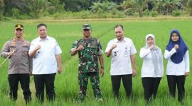 TINJAU : Bupati Lamandau, Rizky Aditya Putra bersama forkopimda dan OPD saat meninjau lahan pertanian tadah hujan di Desa Modang Mas, Kecamatan Menthobi Raya, Kabupaten Lamandau, belum lama ini.(IST)