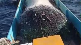 SELAMATKAN: Dua nelayan saat menyelamatkan kapten kapal Tug Boat Datine 138, Ode saat terombang-ambing di laut, Kamis (8/10).(IST)