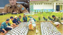 TANAMAN : pengembangan tanaman bawang putih setelah suksesnya demplot atau kebun percontohan di Kecamatan Delang Kabupaten Lamandau.(IST)
