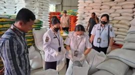 SAMPEL : Tim OKKPD saat Pengambilan sampel beras SPHP di Gudang Perum Bulog Kalteng, Jl. Tjilik Riwut Km 7 Palangka Raya, Rabu (4/3/2026).
