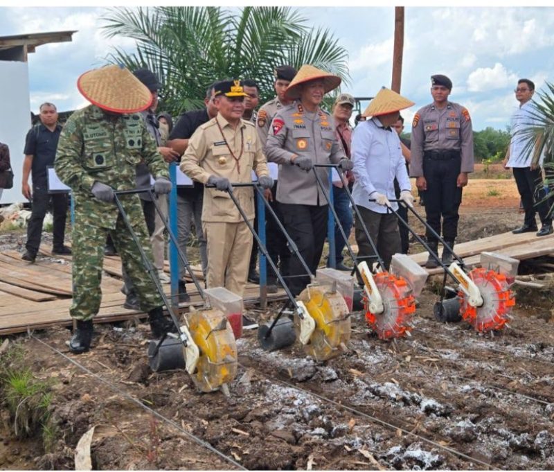 TANAM SERENTAK : Gubernur Kalteng, Agustiar Sabran, saat mengikuti kegiatan Tanam Jagung Serentak Kuartal I Tahun 2026 yang digelar oleh Polri di Kabupaten Pulang Pisau, Sabtu (7/3/2026).