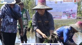 TANAM PADI : Wakil Bupati Seruyan, Supian saat melakukan penanaman padi di lokasi cetak sawah rakyat , Desa Halimaung Jaya, Kecamatan Seruyan Hilir Timur, Kamis (9/4/2026)