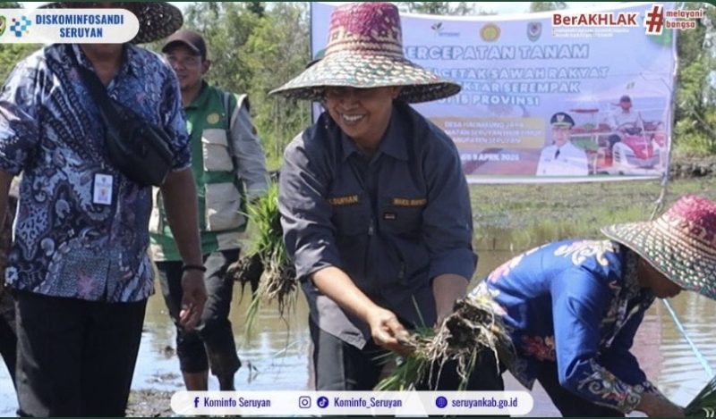 TANAM PADI : Wakil Bupati Seruyan, Supian saat melakukan penanaman padi di lokasi cetak sawah rakyat , Desa Halimaung Jaya, Kecamatan Seruyan Hilir Timur, Kamis (9/4/2026)