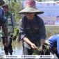 TANAM PADI : Wakil Bupati Seruyan, Supian saat melakukan penanaman padi di lokasi cetak sawah rakyat , Desa Halimaung Jaya, Kecamatan Seruyan Hilir Timur, Kamis (9/4/2026)